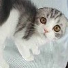 Аватара пользователя