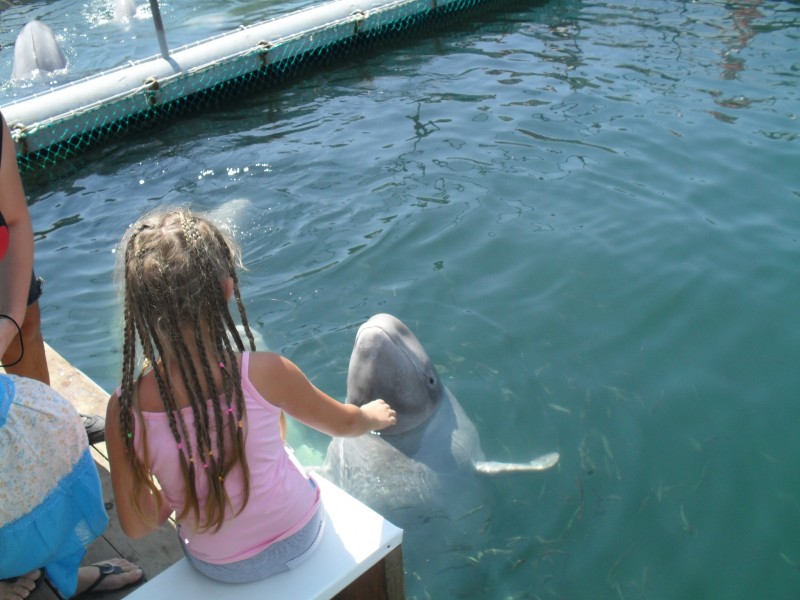 SDC11314.JPG