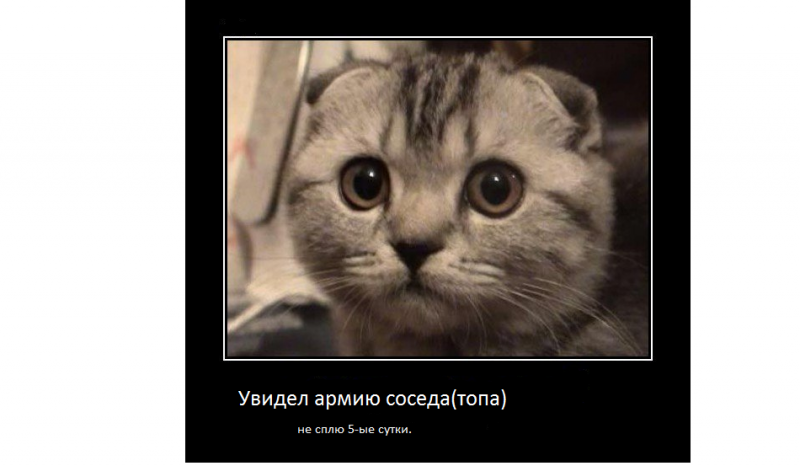 котЭ.png