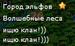 dy.jpg