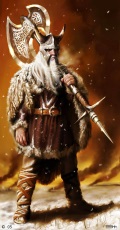 viking.jpg