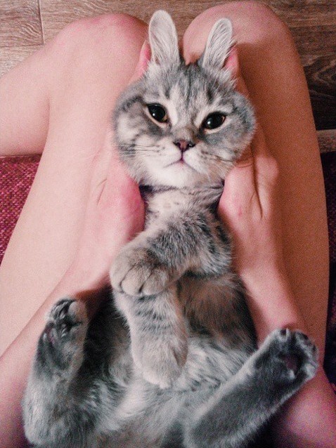 Сима 2.jpg
