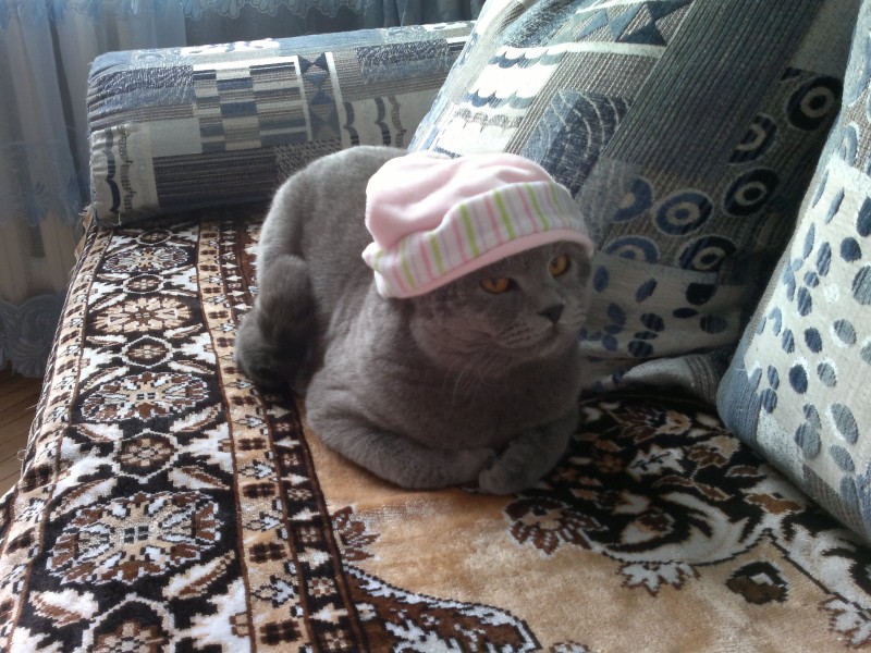 050120132560.jpg