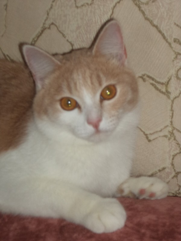 DSC03824.JPG