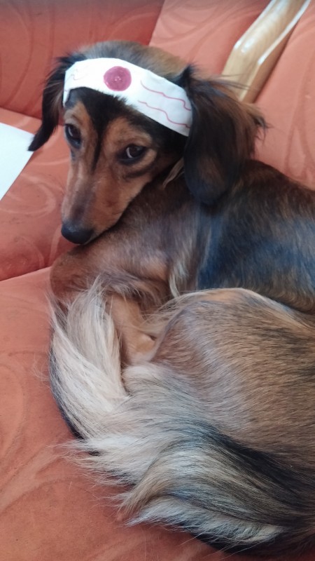 20150217_130236.jpg