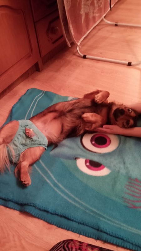 20150222_193844.jpg