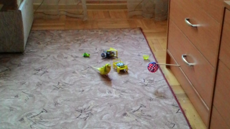 P_20150603_183300.jpg