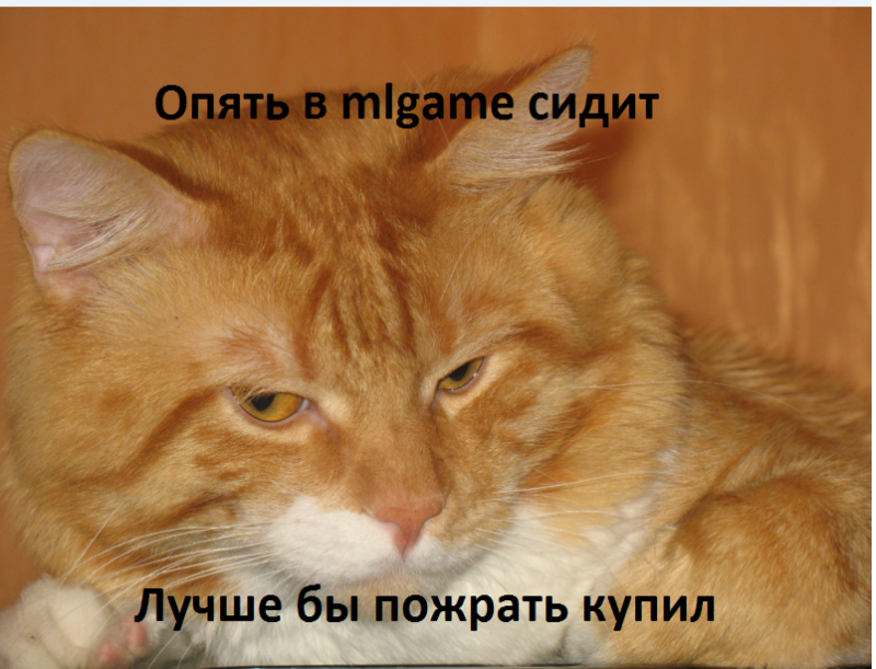 кот.png