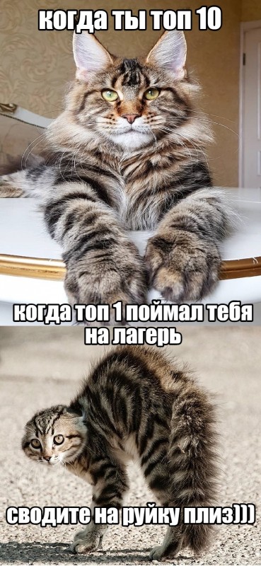 35.3.jpg