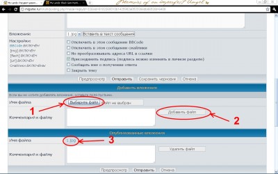 добавление картинки.jpg