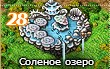 соль1.jpg