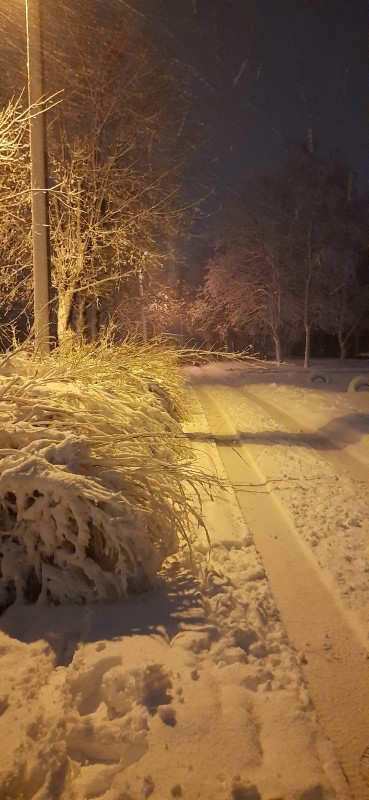 изображение_viber_2020-02-05_22-19-07.jpg