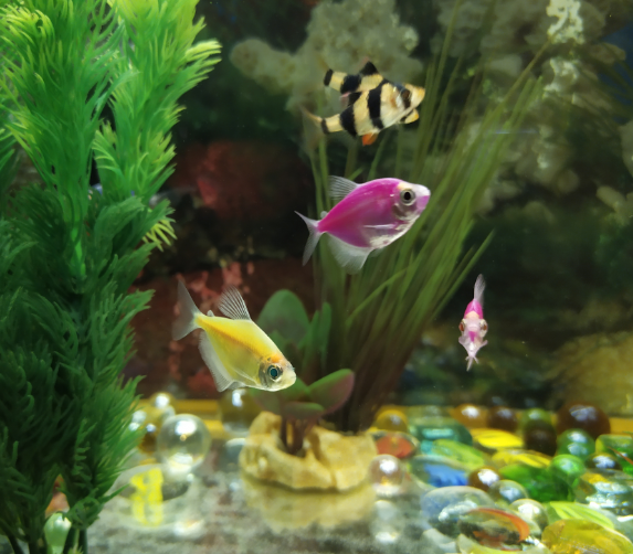 Фото (1).png