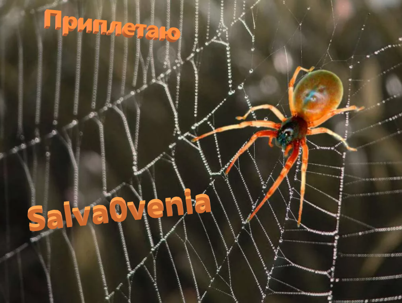 Без имени.png